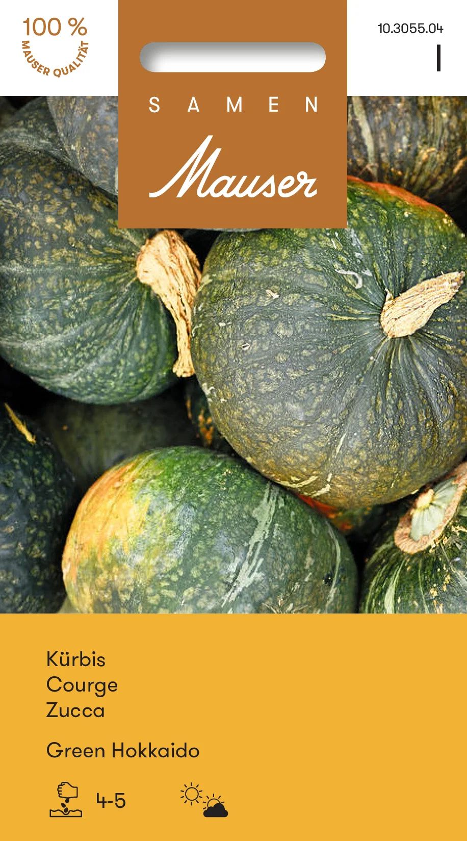 Courge Green Hokkaido