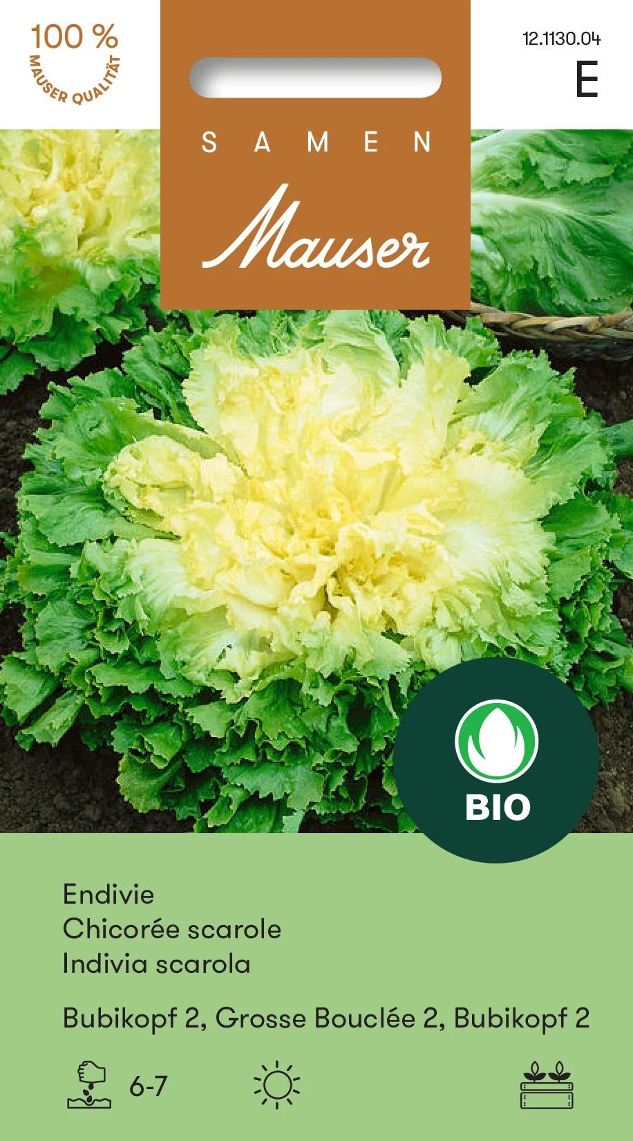 Bourgeon Bio Chicorée scarole Grosse Bouclée 2