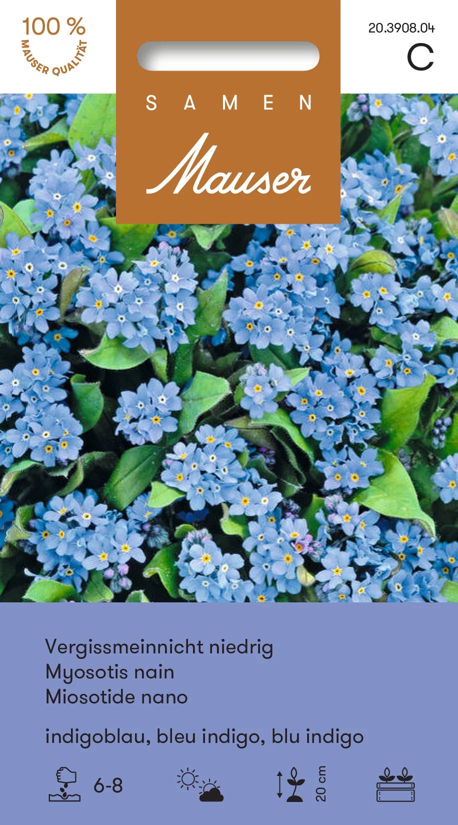 Myosotis nain bleu indigo
