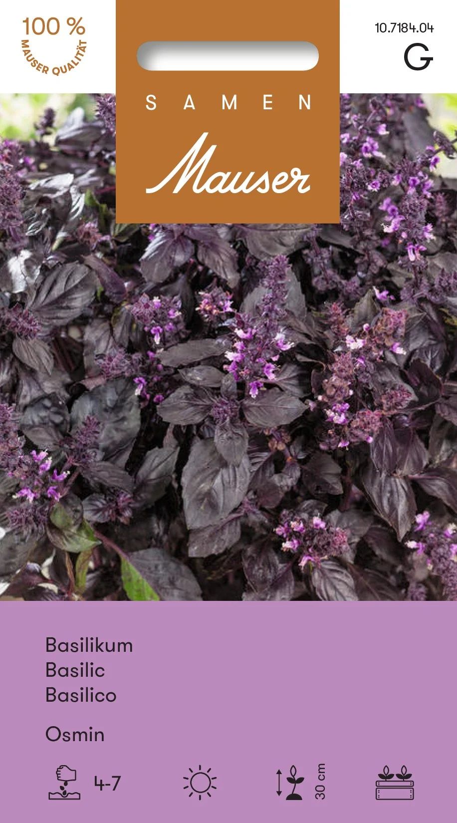 Basilic Osmin