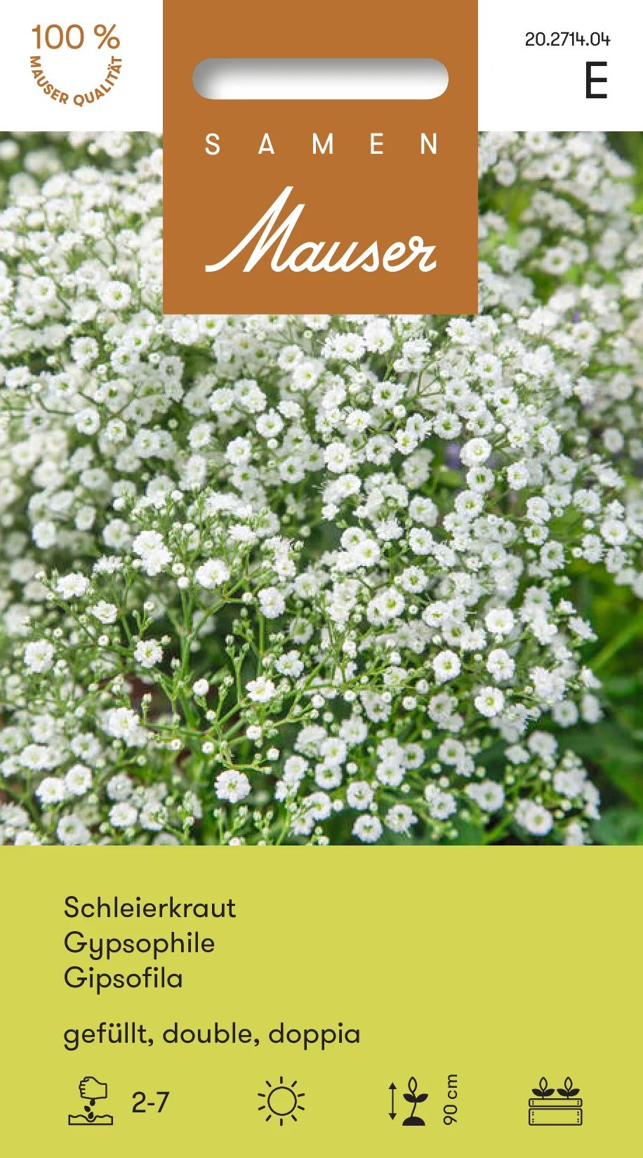 Gypsophile double