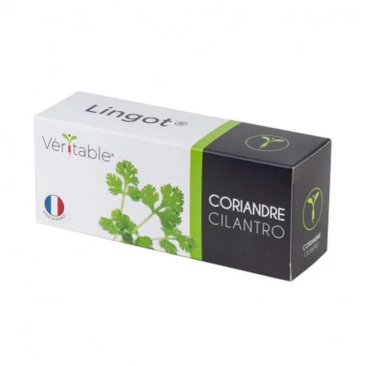 Graines Coriandre - Lingot® Véritable