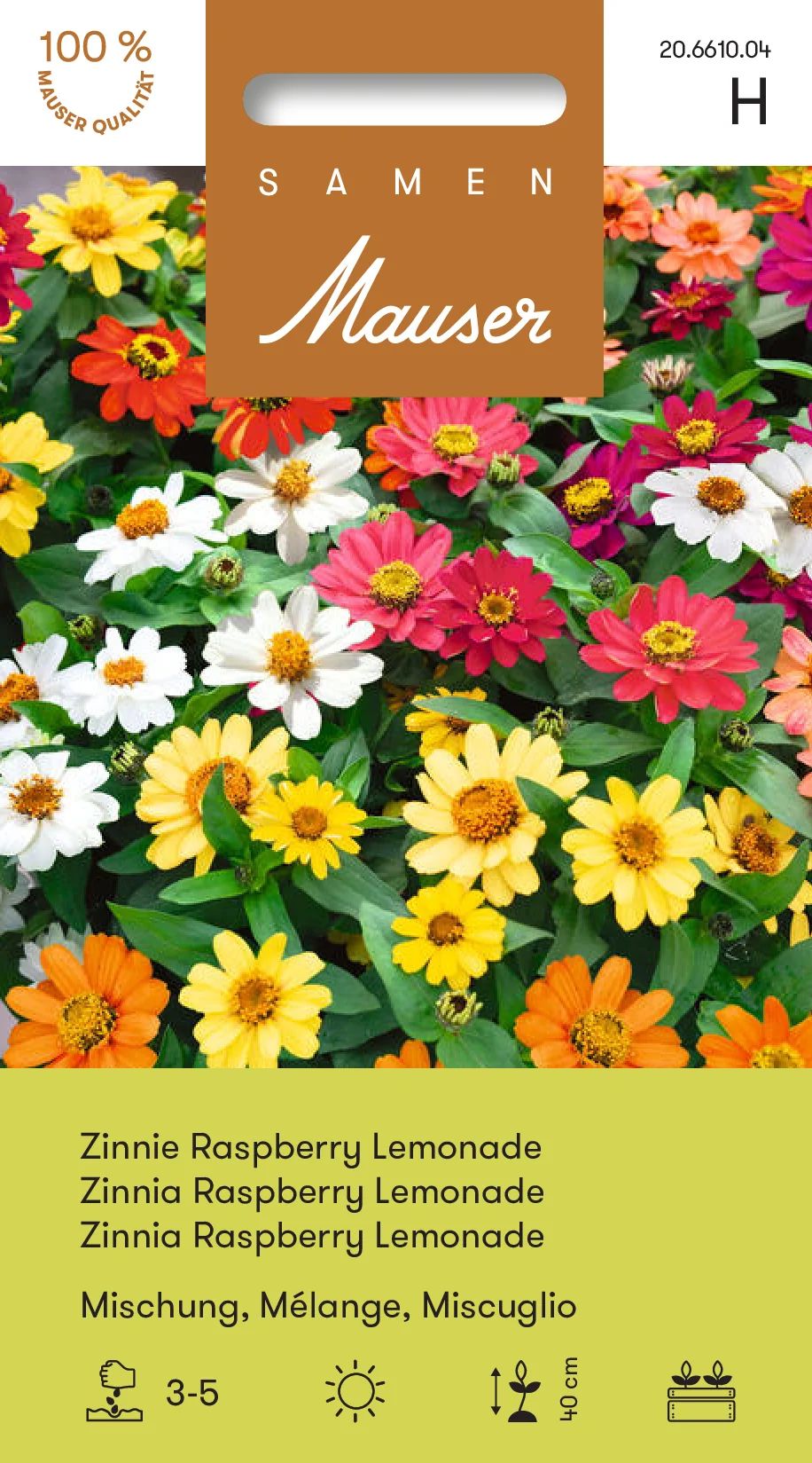 Zinnia Rasberry Lemonade Mélange