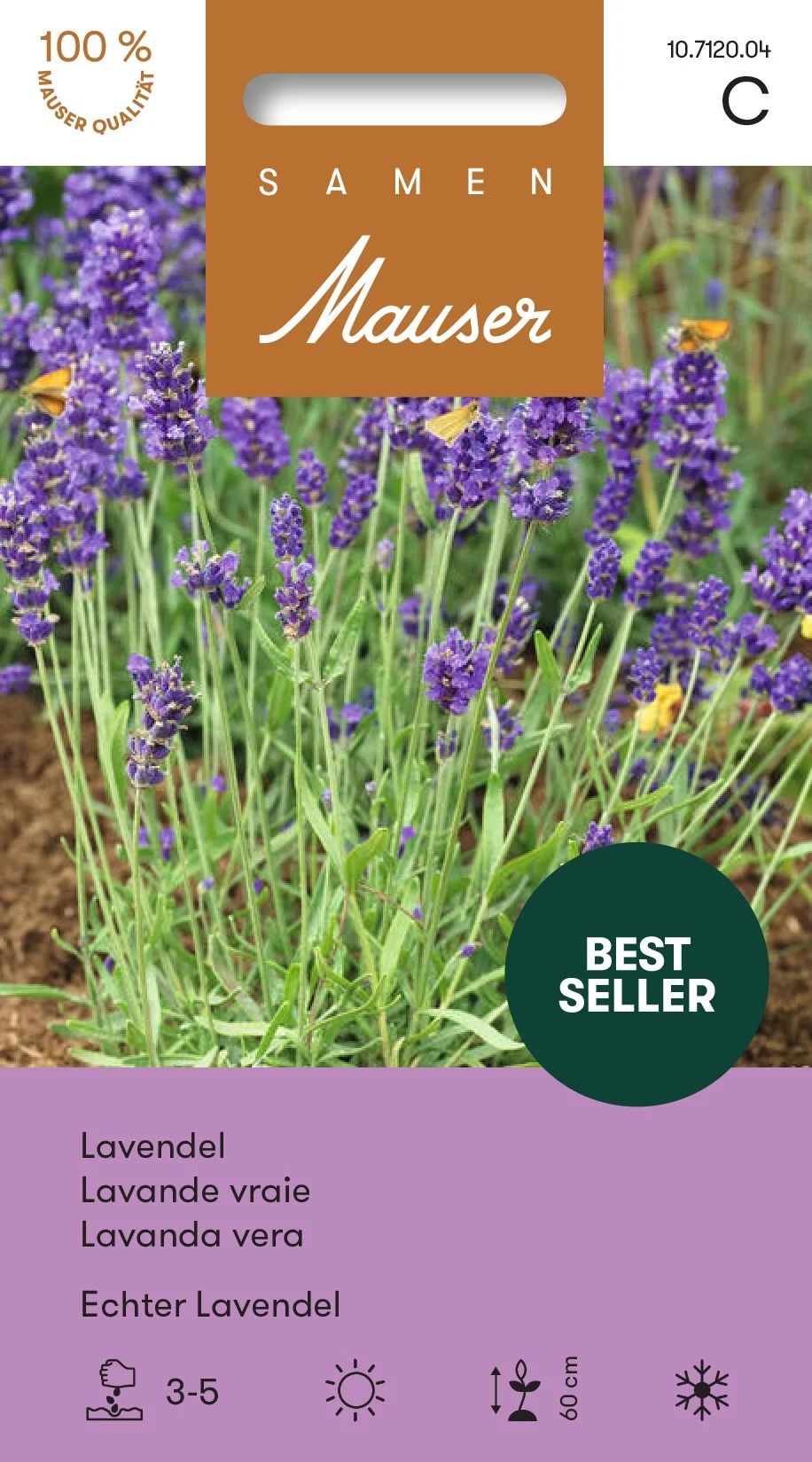 Lavendel echter