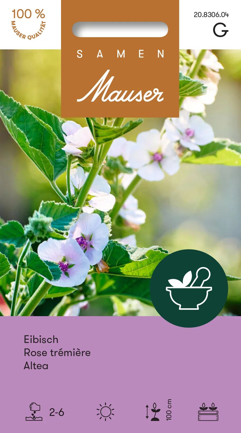 Guimauve officinale
