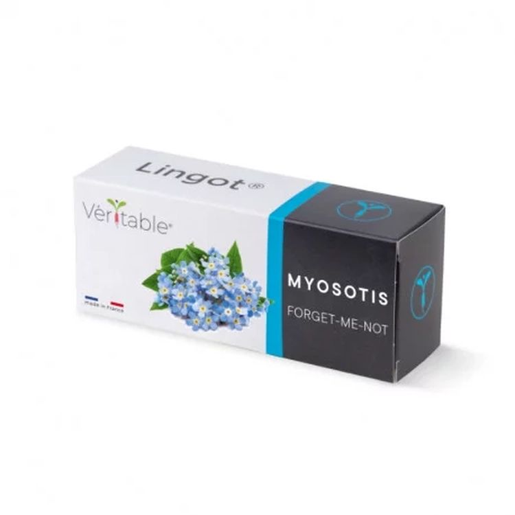 Graines Myosotis - Lingot® Véritable