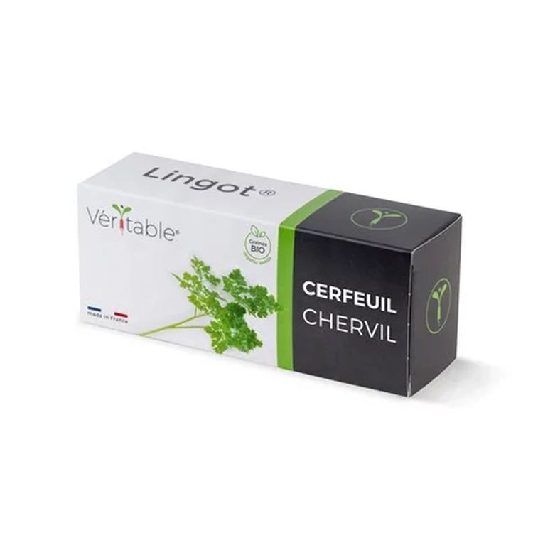 Graines Cerfeuil bio - Lingot® Véritable