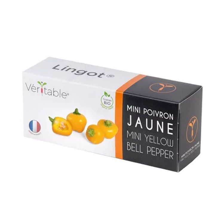 Graines Mini Poivron jaune bio - Lingot® Véritable
