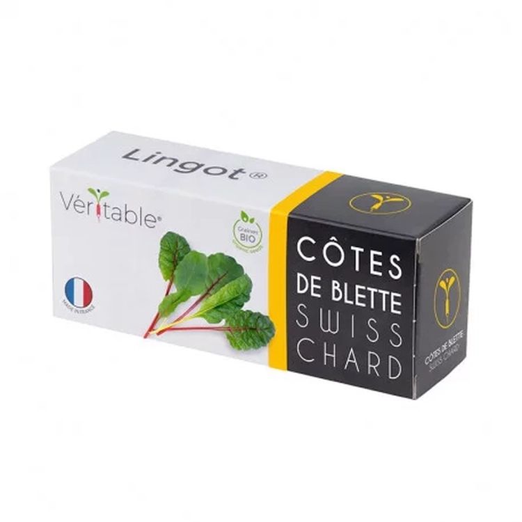 Graines Côtes de blettes bio - Lingot® Véritable
