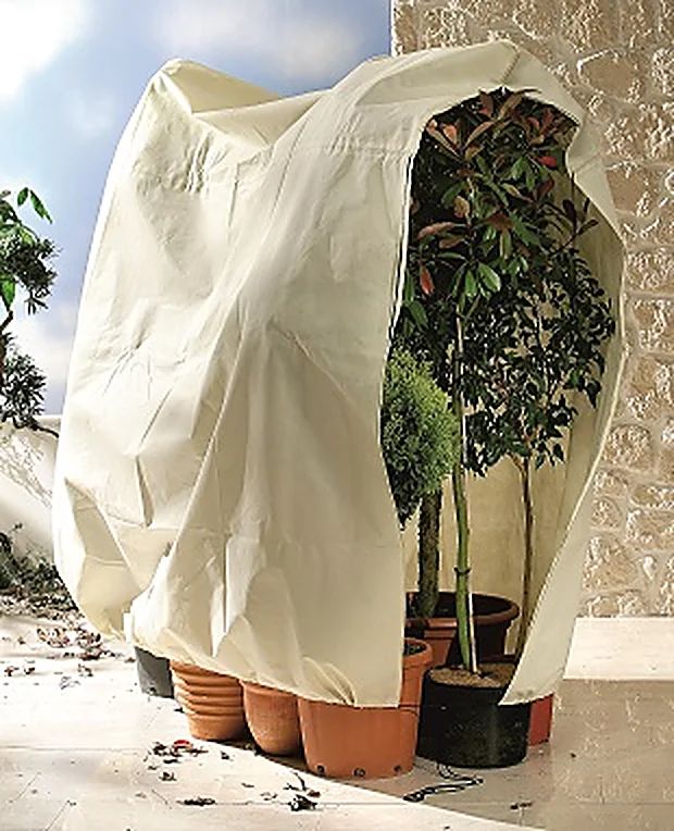 Housse d'hivernage pour plantes en pot JUMBO – 200 × 240 cm