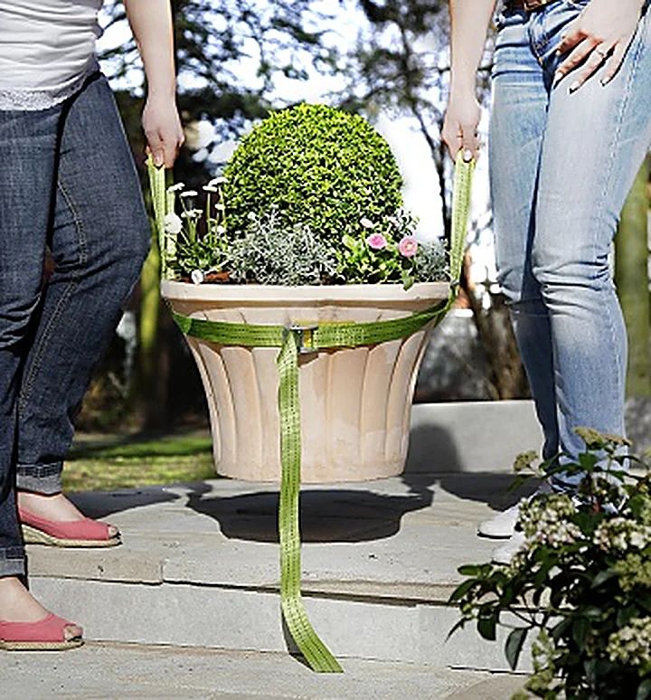 Sangle de transport pour plantes en pot