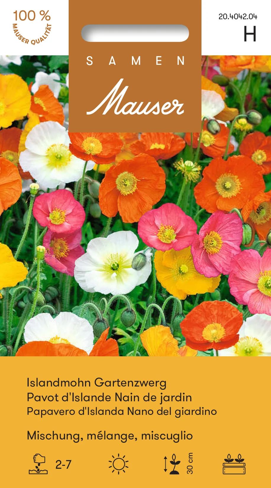 Pavot d’Islande Nain de jardin mélange