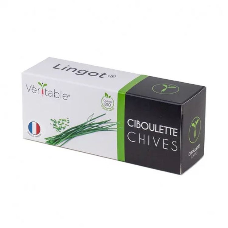 Graines Ciboulette bio - Lingot® Véritable
