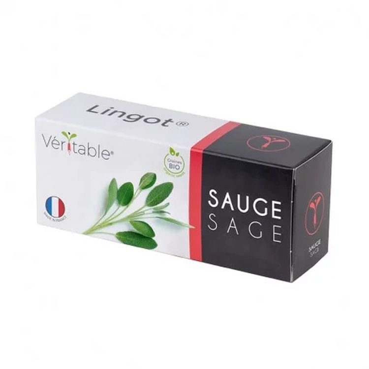 Graines Sauge bio - Lingot® Véritable