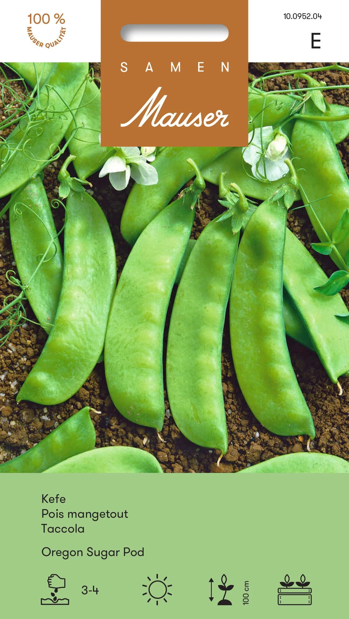 Pois mangetout Oregon Sugar Pod