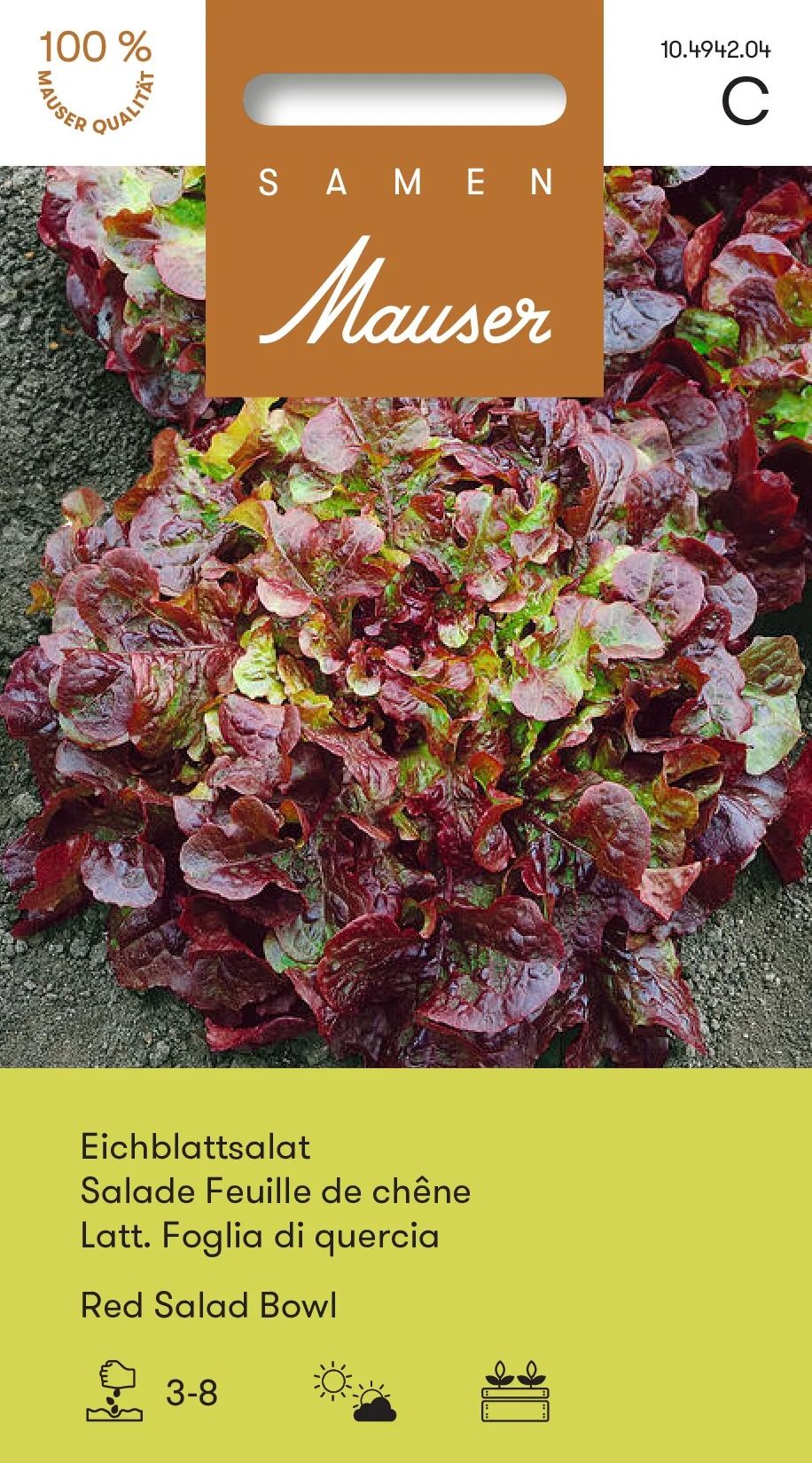 Salade Feuille de chêne Red Salad Bowl
