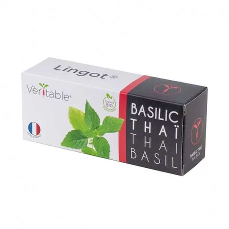 Graines Basilic thaï bio - Lingot® Véritable