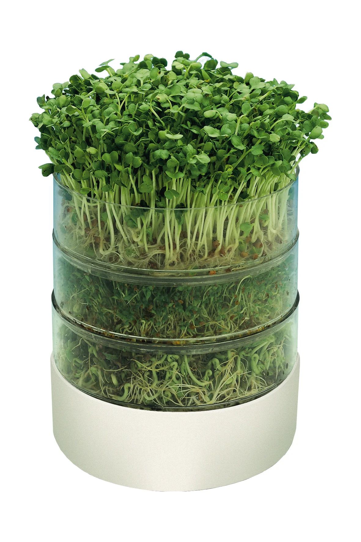 Appareil à germination Bioset
