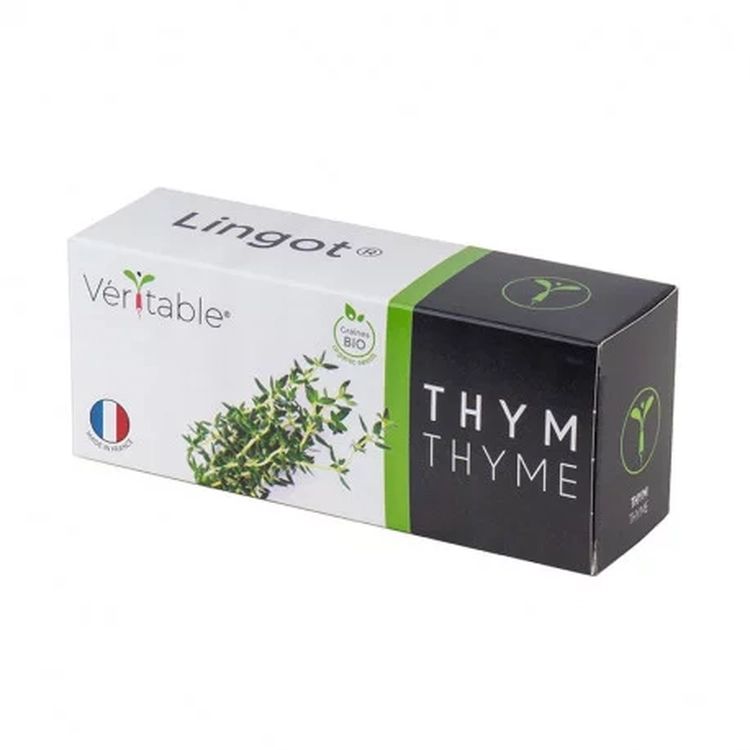 Graines Thym bio - Lingot® Véritable