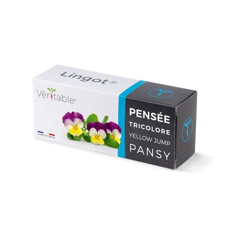 Graines Pensée tricolore - Lingot® Véritable