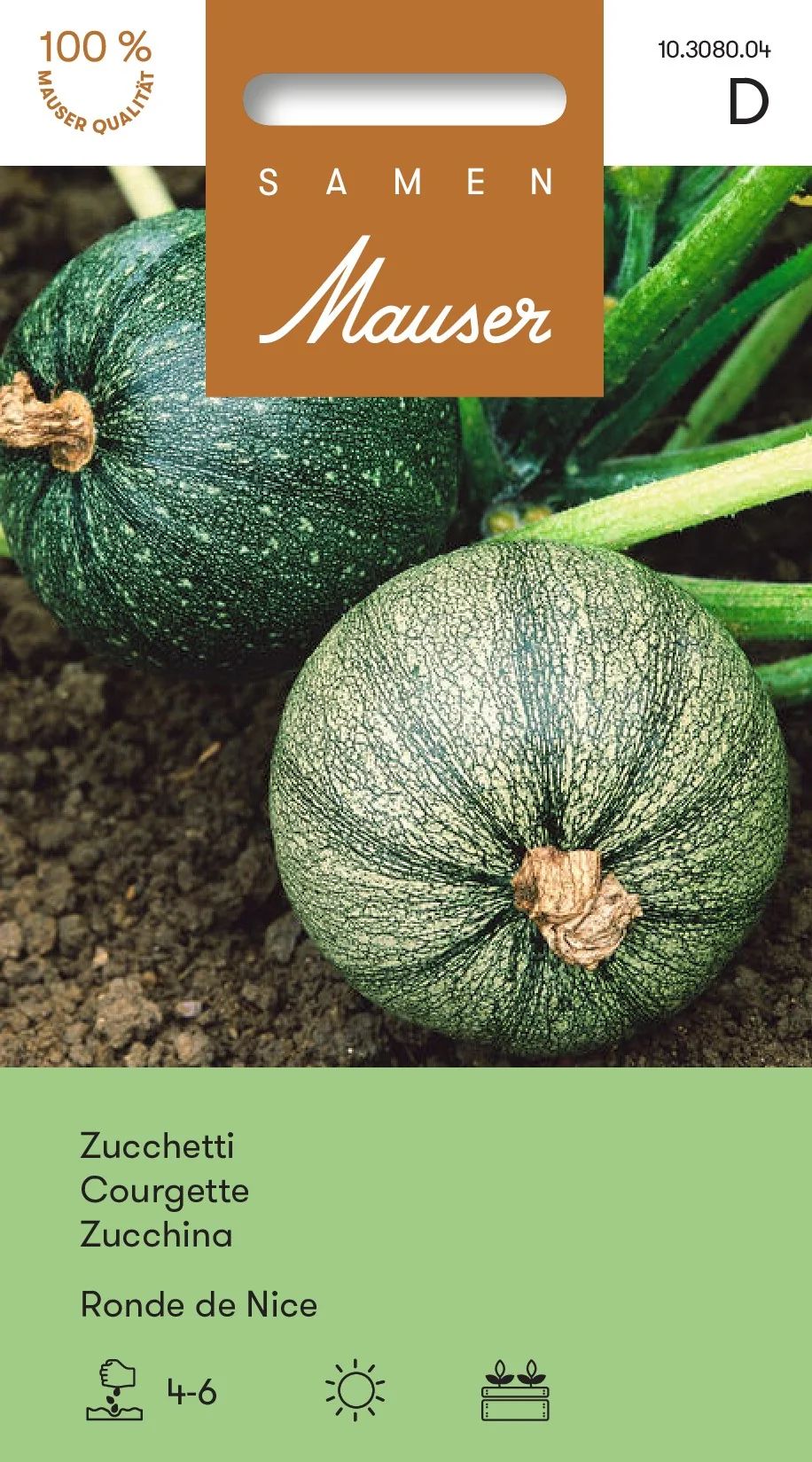Courgette Ronde De Nice