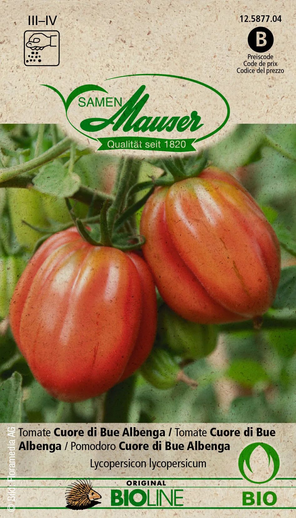 BIO Tomate Cœur de Bœuf Albenga