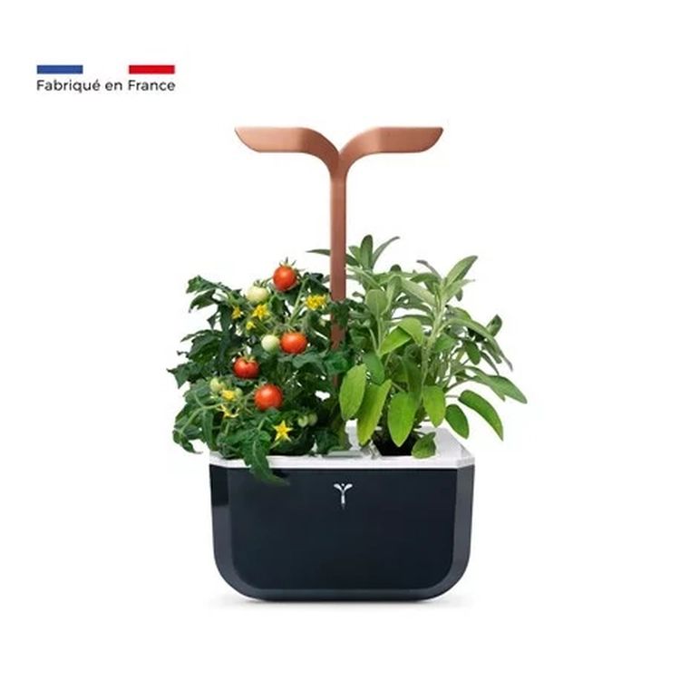 Potager Exky Smart - black copper