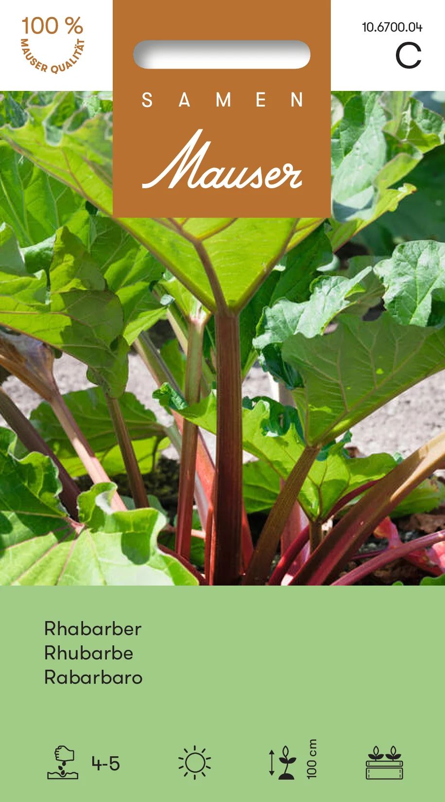 Rhubarbe