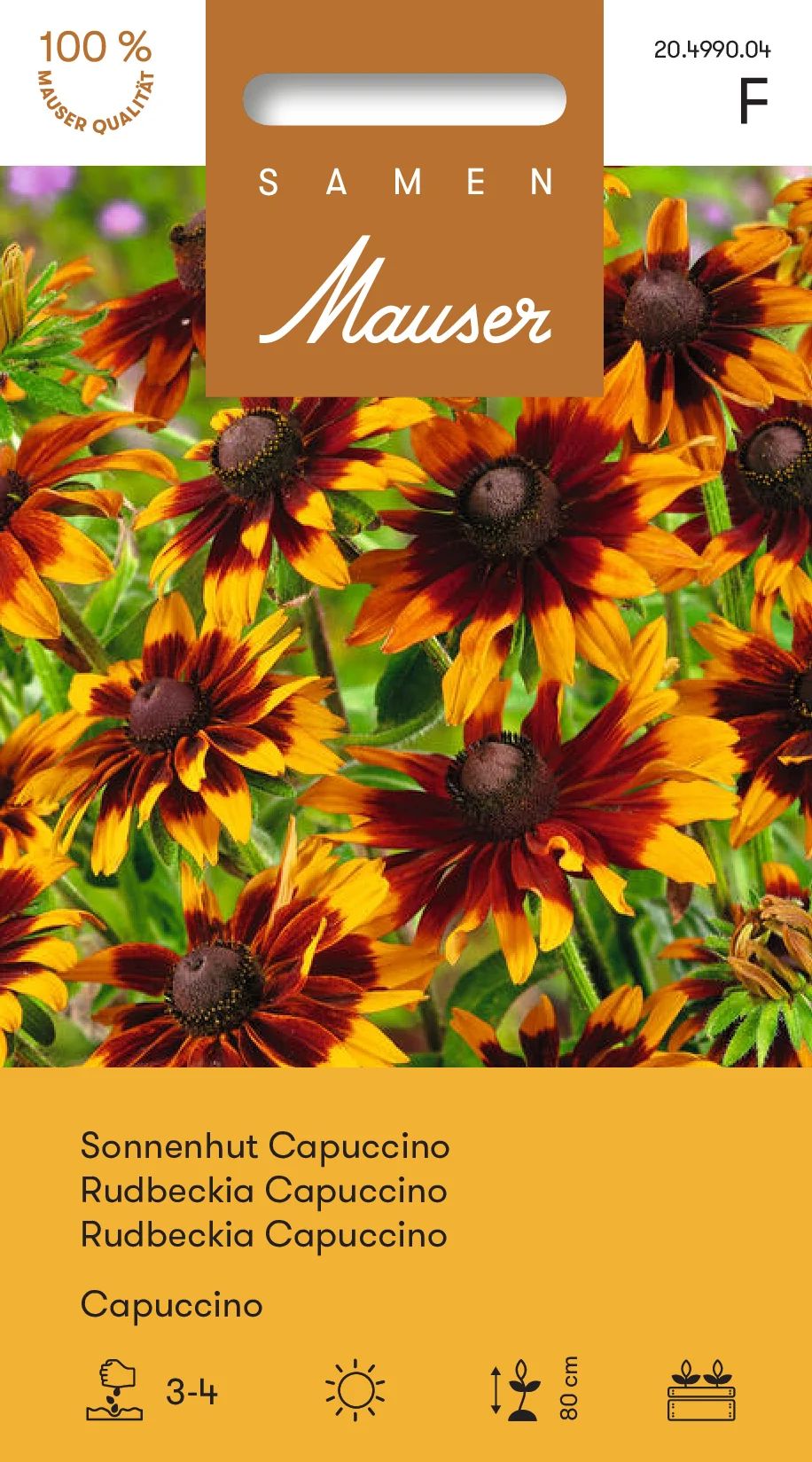 Rudbeckia Capuccino