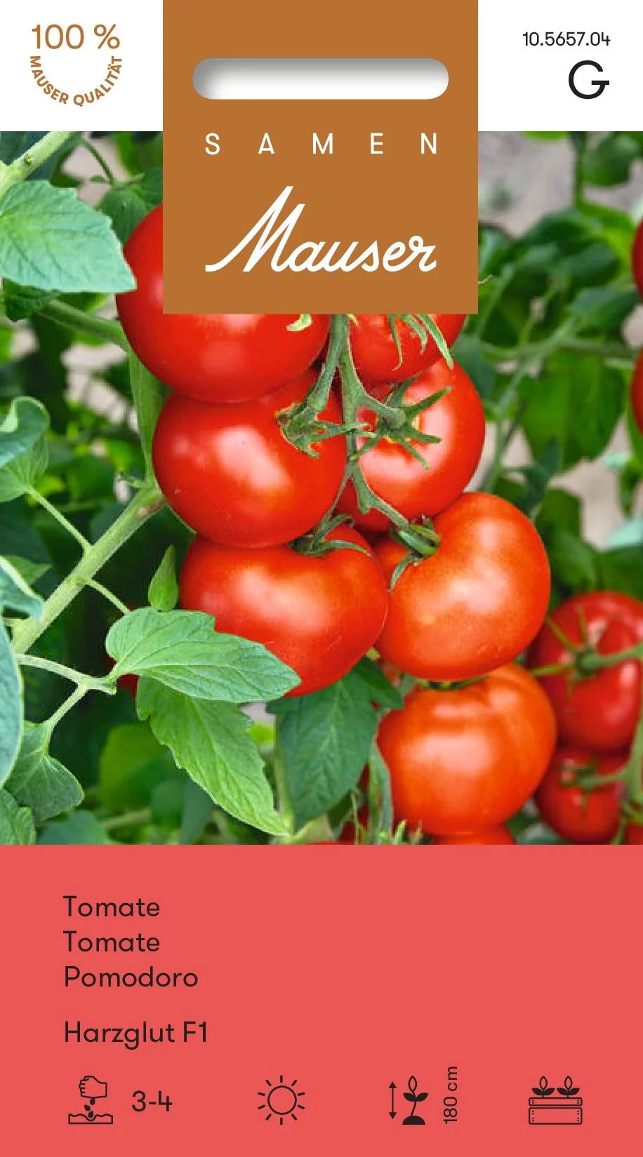Tomate Harzglut