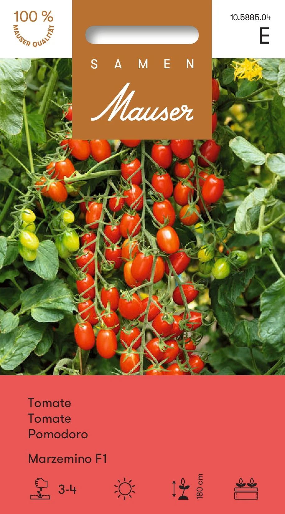 Tomate Marzemino F1