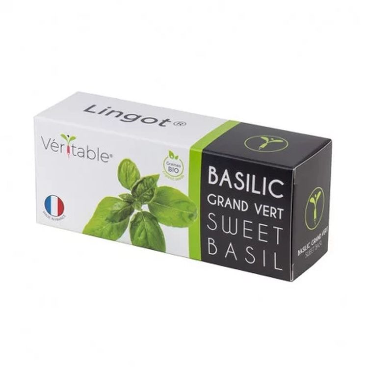 Graines Basilic grand vert bio - Lingot® Véritable