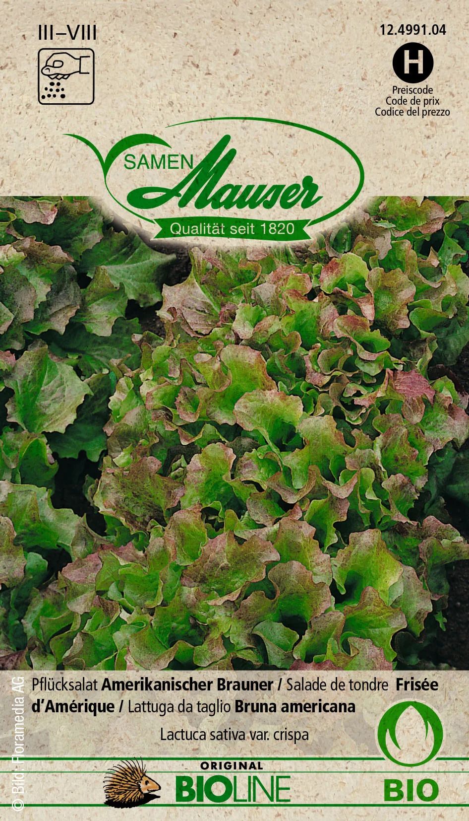 Bourgeon Bio Salade de tondre Frisée d’Amérique