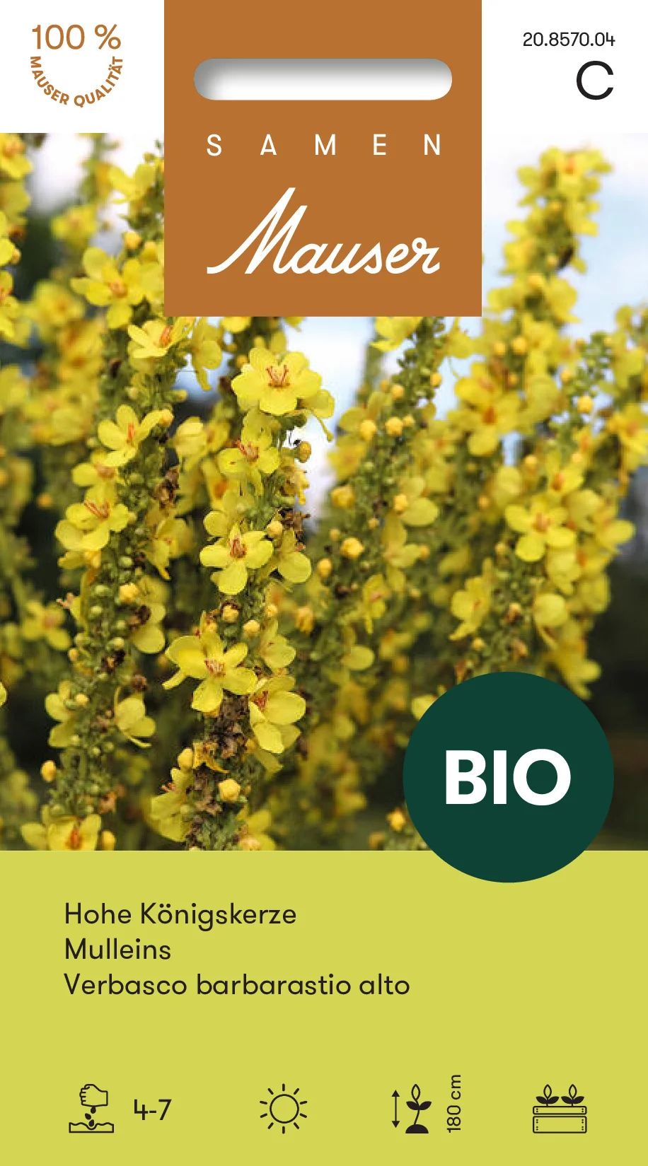 BIO Grande molène
