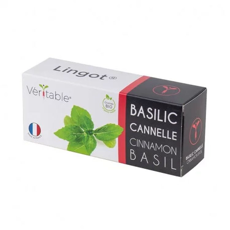 Graines Basilic cannelle bio - Lingot® Véritable
