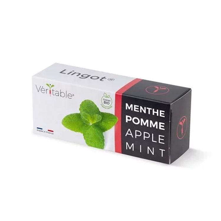Graines Menthe Pomme - Lingot® Véritable