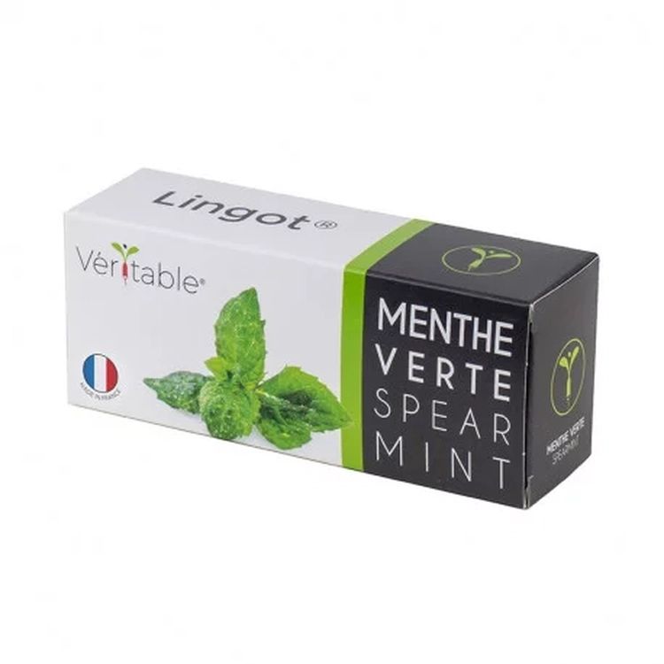 Graines Menthe Verte - Lingot® Véritable