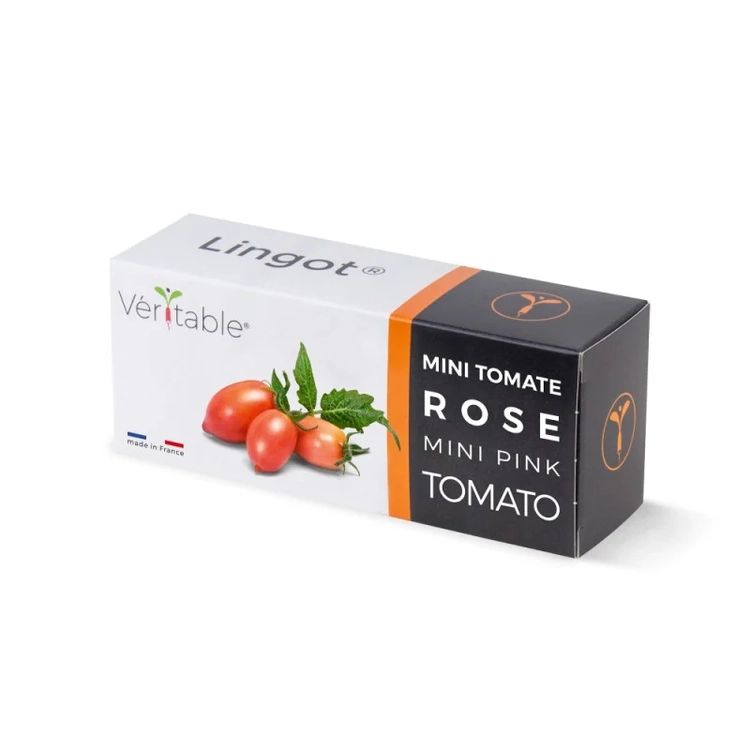 Graines Mini tomate rose - Lingot® Véritable