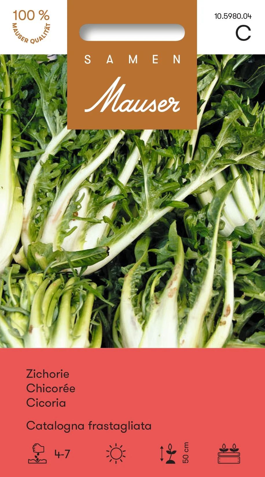 Chicorée Catalogna frastagliata