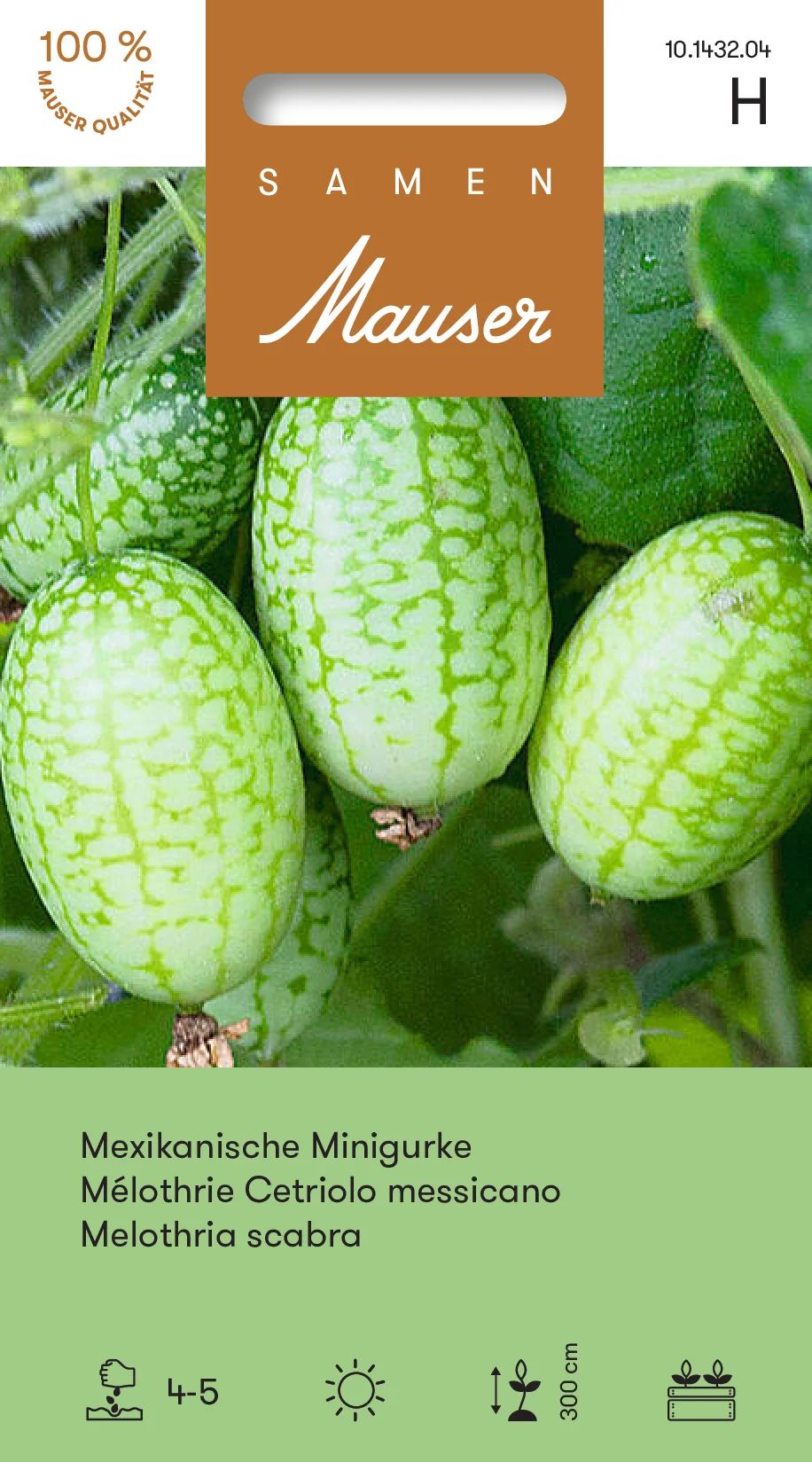 Mélothrie (Mini concombre mexicain)