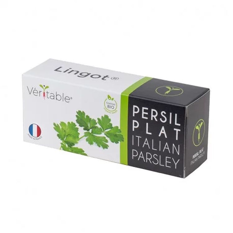 Graines Persil plat bio - Lingot® Véritable