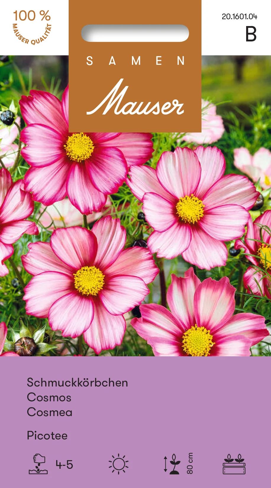 Cosmos Picotee
