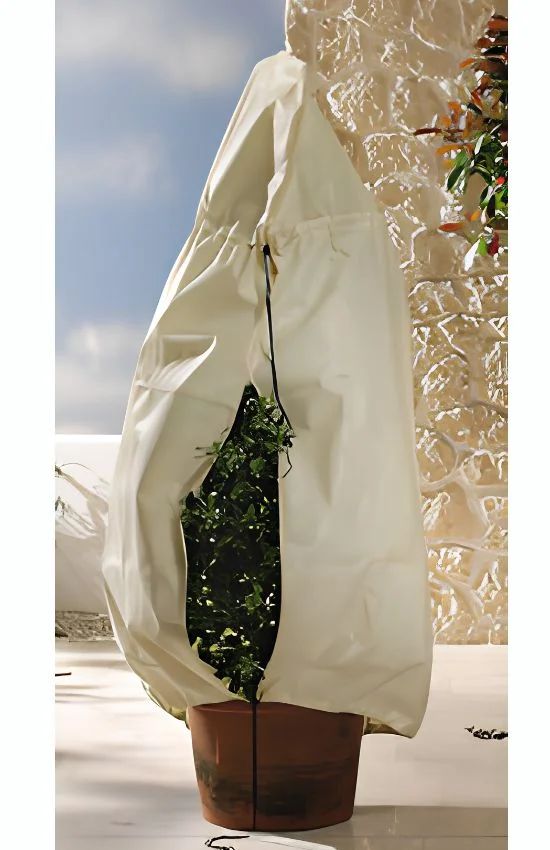 Housse d'hivernage pour plantes en pot XXL – 180 × 120 cm