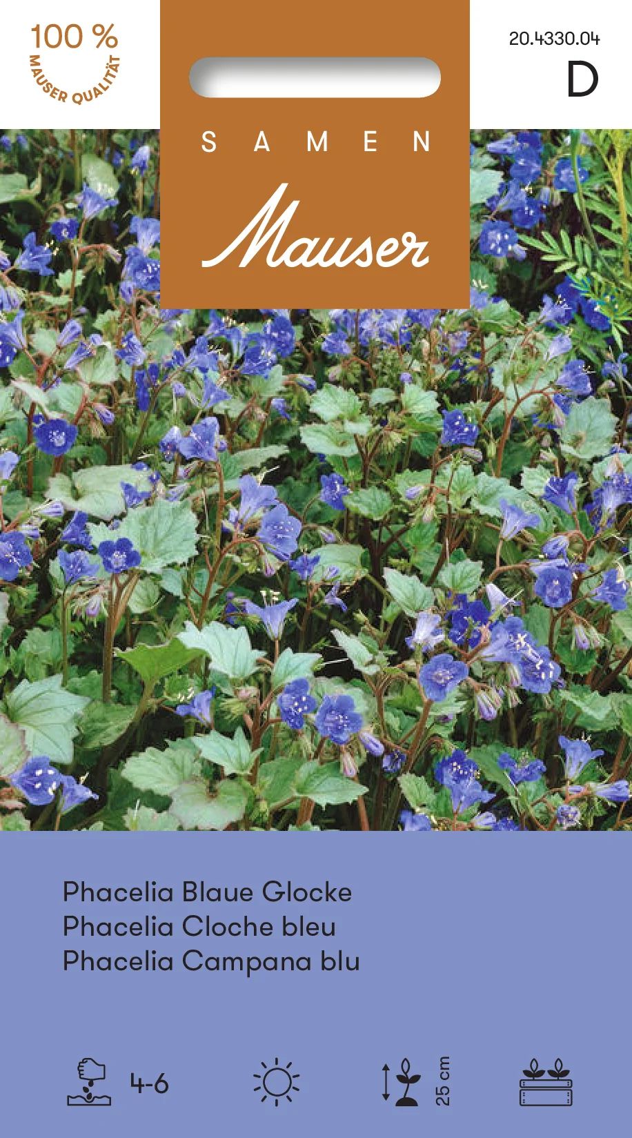 Phacelia Cloche bleu
