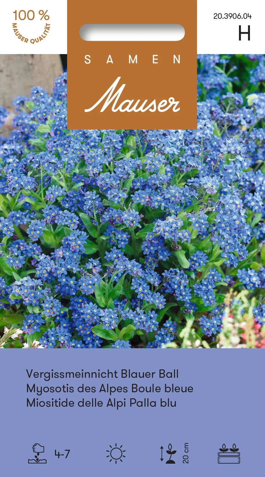 Myosotis des Alpes Boule bleue