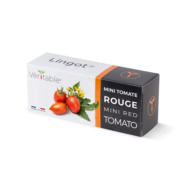 Graines Mini tomate rouge - Lingot® Véritable