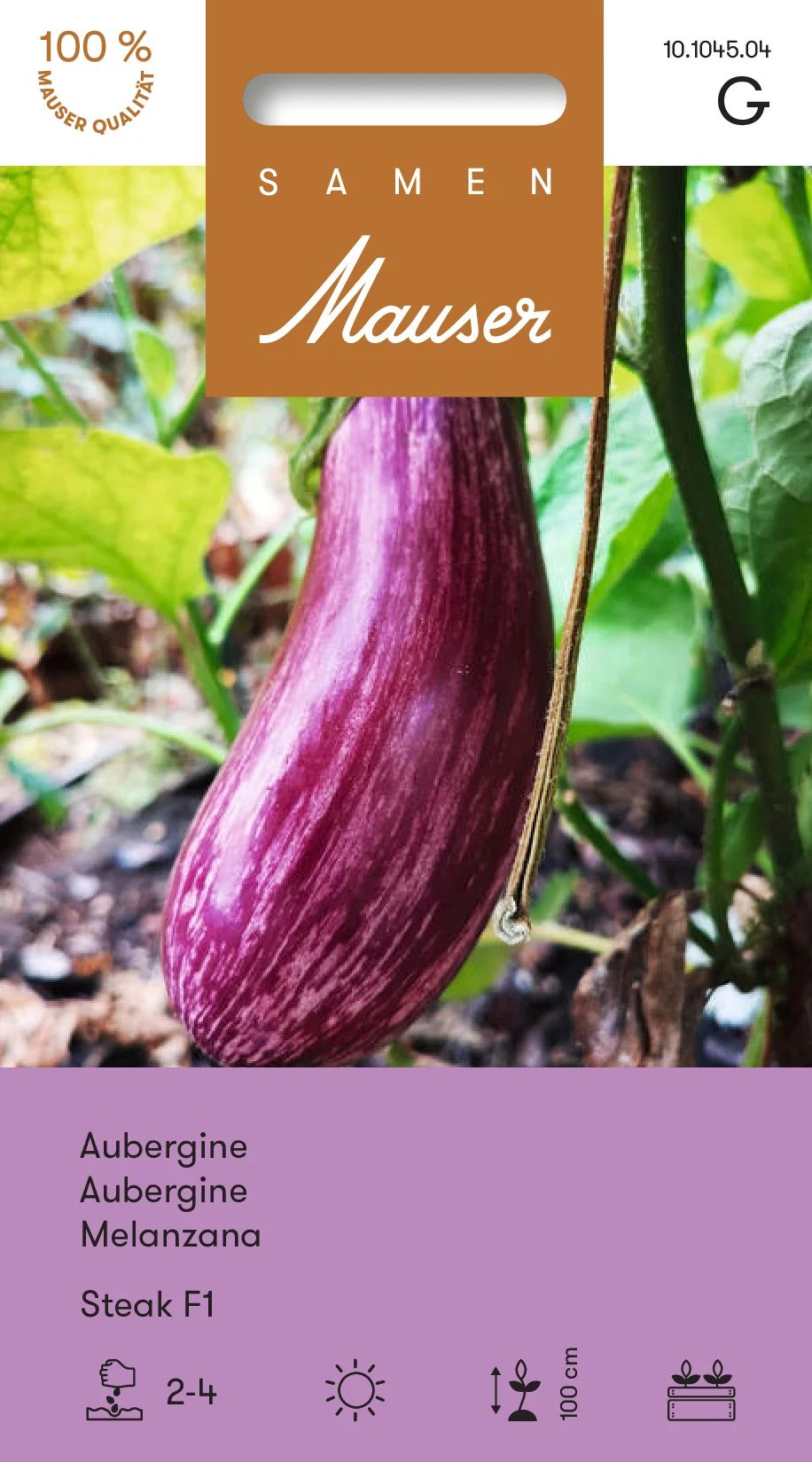 Aubergine Steak F1