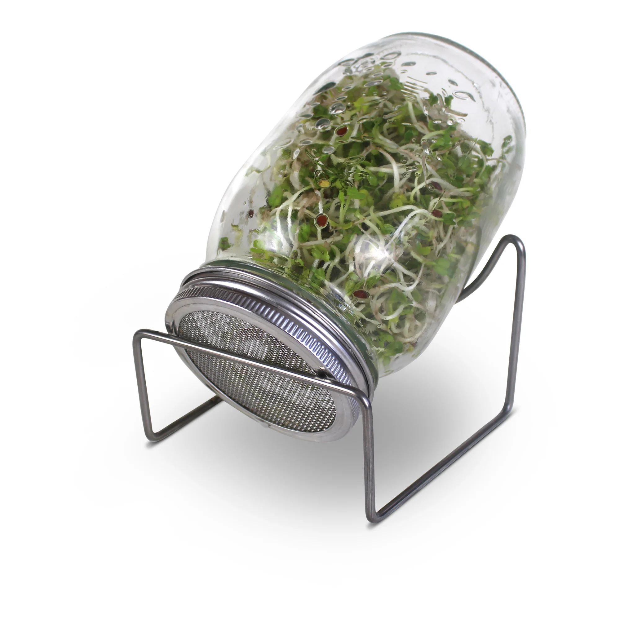 Bocal à germination
