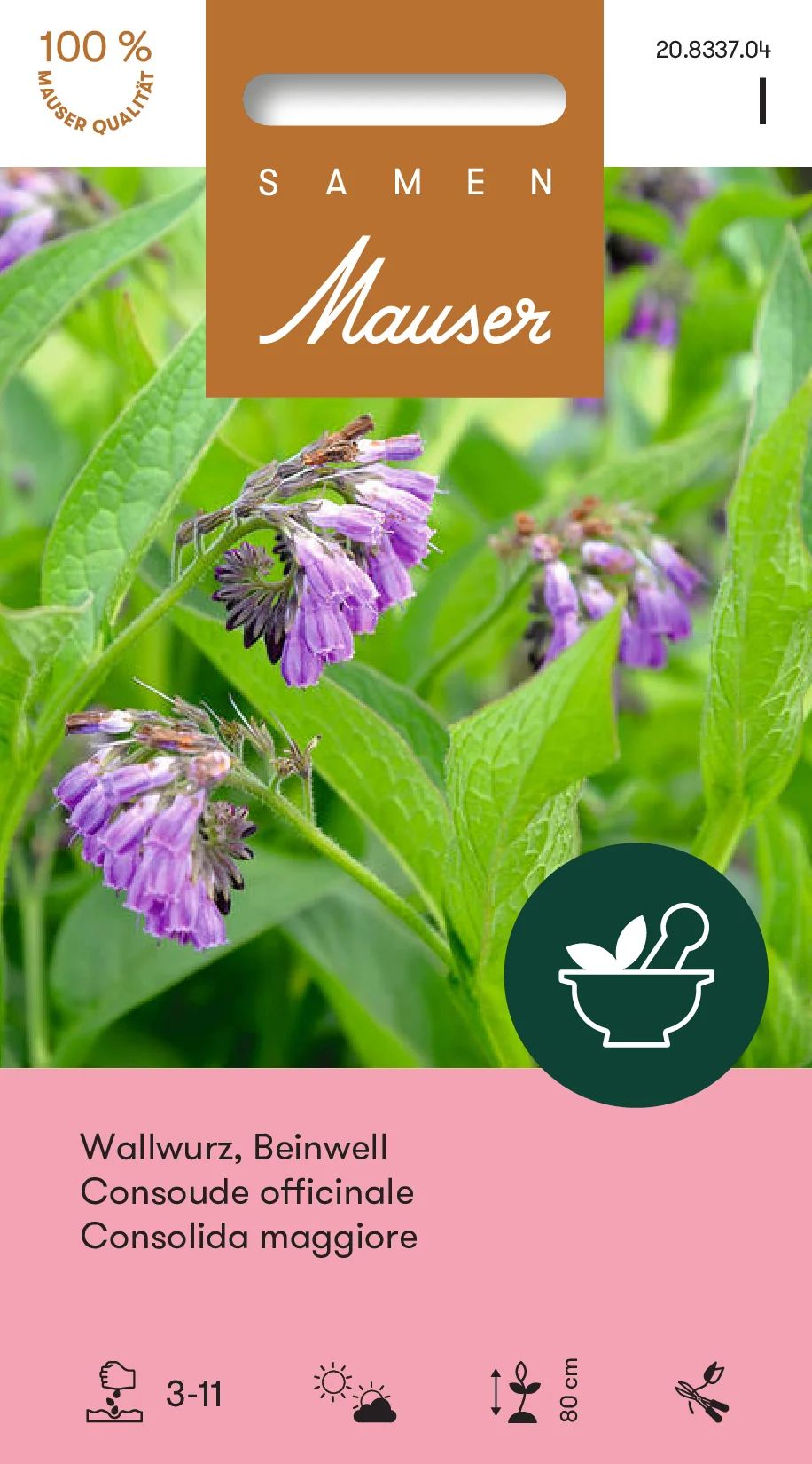 Consoude officinale