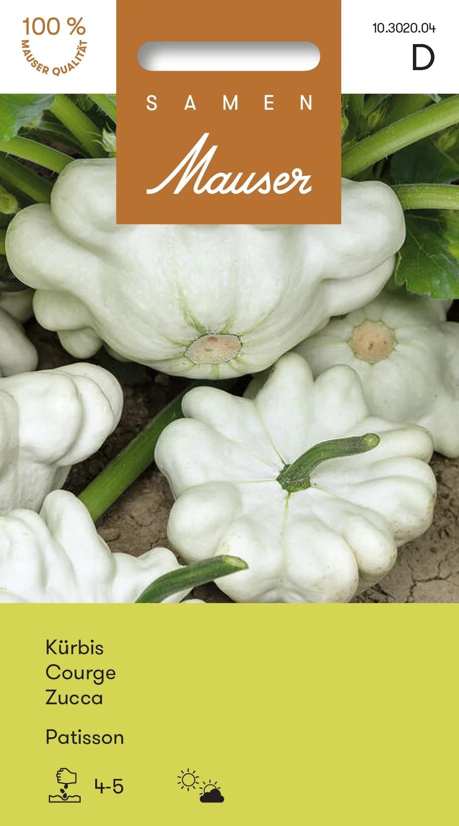 Courge Patisson blanc